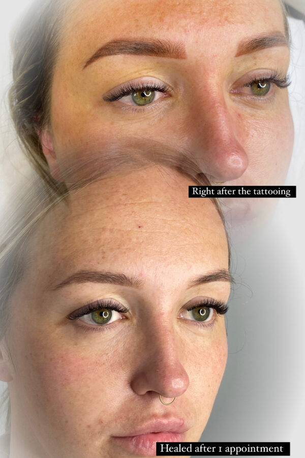 ombre brows