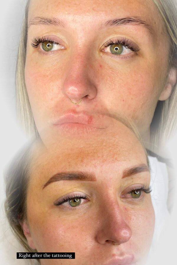ombre brows